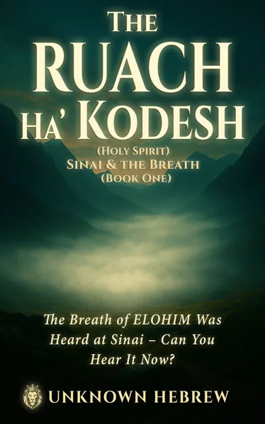 Book cover for The Ruach Ha'Kodesh: Sinai & The Breath featuring a glowing mist over a dark mountain valley at dawn.